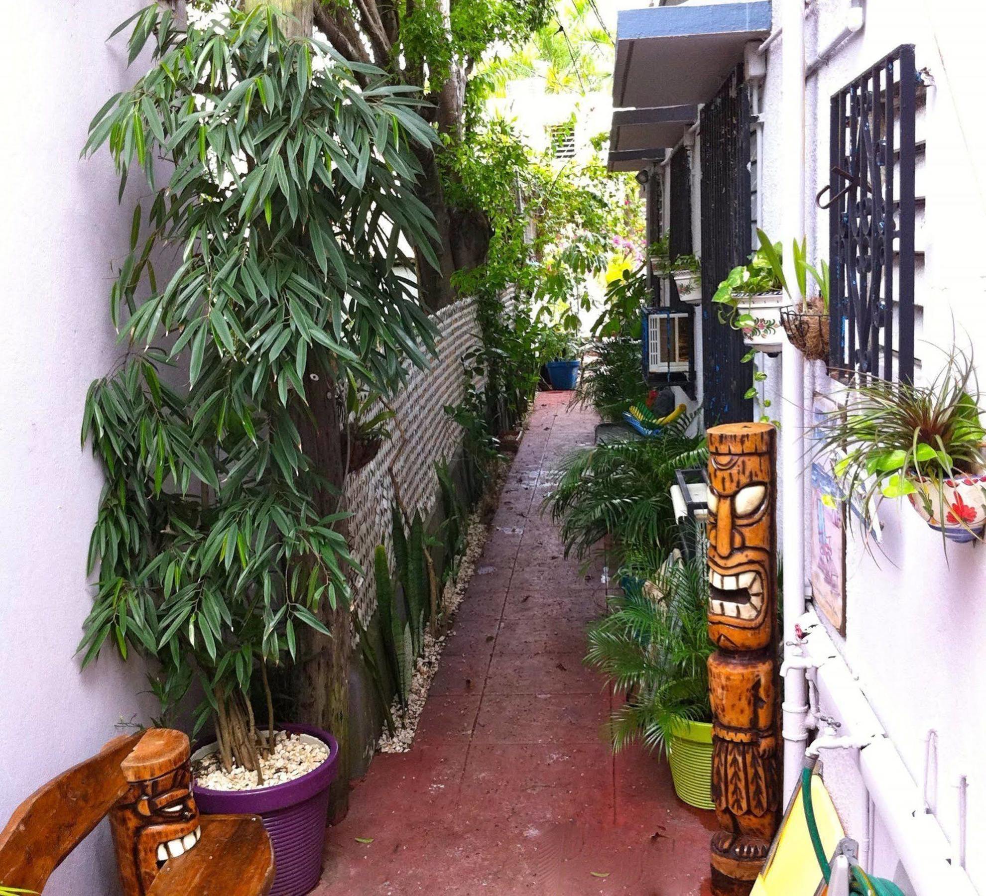 Lower Price, Style, Discount In San Juan,pr, Beach, Free Bikes (adults Only)